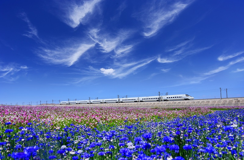 15我局承建的世界第一条高原高铁——兰新高铁.jpg